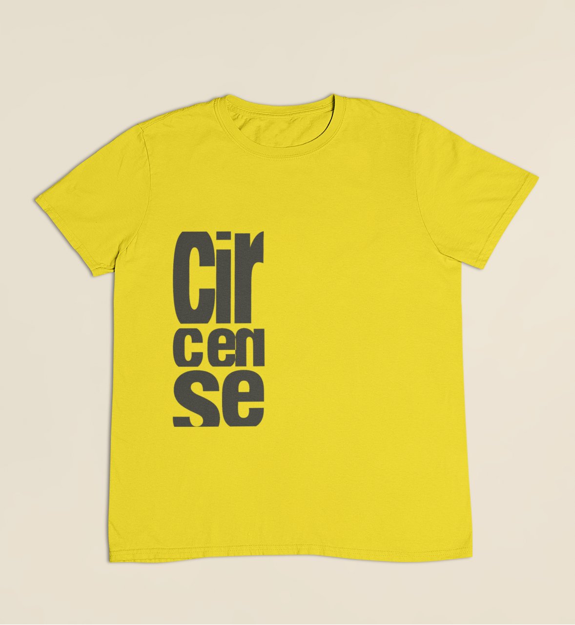 Camiseta Infantil 4 a 9 anos Circense